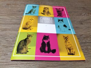 protège carnet de santé grand format